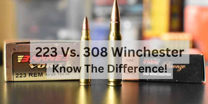 223-vs-308- winchester-know-the-difference!.png