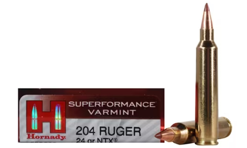 .204 Ruger Ammo