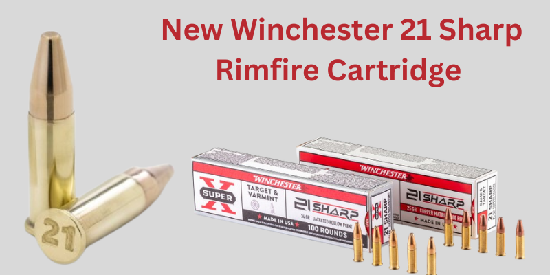 Winchester-21-Sharp-Rimfire-Cartridge.png