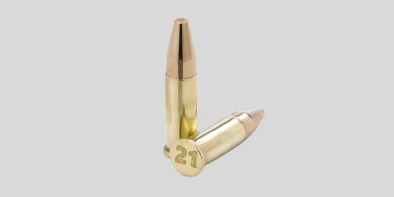 Winchester-21-Sharp-Rimfire.png