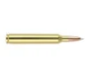 Nosler Trophy Grade Rifle Ammunition 7mm RUM 160 gr  PT SP 20 rd 