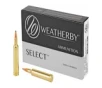 WBY AMMO 257WBY 100GR HRNDY INTER