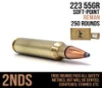 223 - 55GR - SP - REMAN - CASE - 250 - 2NDS