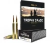 NOSLER TROPHY GRADE  300WM 180G ACCUBOND TIP 20 Round Box