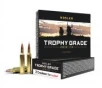 Nosler 60152 Trophy Grade 22Creedmoor 70gr AccuBond 20 Per Box 10 Case