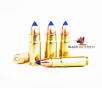 Black Butterfly Ammunition Premium   458 SOCOM  300 gr  5 Rounds  Barnes TTSX BT  HOG STOPPER   SAMPLE PACK 