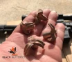 Black Butterfly Ammunition Premium   458 SOCOM  400 gr  20 Rounds  Maker Expanding Copper High Velocity  TURBO SAW 