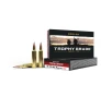 Nosler Trophy Grade  30-378 Weatherby Magnum 210 Grain Centerfire Rifle Ammo