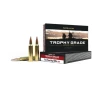 Nosler Trophy Grade 7mm Remington Magnum 168 Grain Centerfire Rifle Ammo