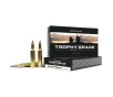 Nosler Trophy Grade 7mm Remington Magnum 160 Grain Centerfire Rifle Ammo