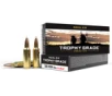 Nosler Trophy Grade 300 WSM 180 gr AccuBond - 60063