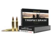 Nosler Trophy Grade 300 Wthby Mag 180 gr AccuBond - 48643