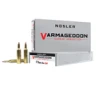 Nosler Varmageddon 17 Rem 20 gr Flat Base Hollow Point - 65100
