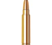 Hornady Dangerous Game  375 Ruger 300gr Ammunition w DGS Bullets  20 Box  8232