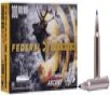 Terminal Ascent  300 Win Mag  200 Grain  Terminal Ascent  2810 fps