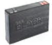 Hornady BLACK  450 BUSHMASTER  250 Grain  Flex Tip  20 Round Box 82246