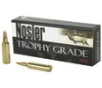 Nosler Trophy Grade Hyper Velocity Centerfire Ammunition  300 WSM  Nosler AccuBond  180 Grain - 20 Cartridge Box   20   1  