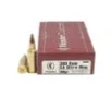 Nosler Ammunition 60062 Trophy 300 SAU 180 PT 20rds 