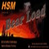 HSM Hunting Shack  38-40WIN Round Nose 180gr 20rds 