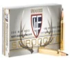 Fiocchi Extrema Brass  300 Win Mag 180-Grain 20-Rounds SSIIBTS 