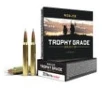 Nosler Trophy Grade Brass  223 Rem 70-Grain 20-Rounds TG AccuBond 