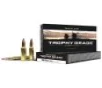 Nosler Trophy Grade 260 Remington 125 Gr  Nosler Spitzer Partition 20 Box