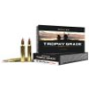 Nosler Trophy Grade 300 Wthby Mag 180 Gr  AccuBond 20 Box