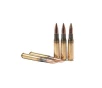 PMC Bronze 50 BMG 660 Grain FMJ Boat Tail Ammo  10 Round Box  50A 