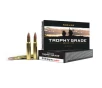 NOSLER Trophy Grade  30-06 Springfield 180Gr AccuBond 20rd Box Ammo  46134 