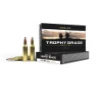 Nosler Trophy Grade  243 Winchester 100gr PTSP Ammo 20 Rounds