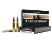 Nosler Trophy Grade  30-06 Springfield Ammo 165gr Accubond 20 Rounds