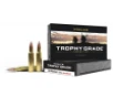 Nosler Trophy Grade 33 Nosler Ammo 225gr Accubond 20 rounds