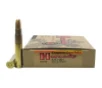 Hornady Dangerous Game  375 H H Magnum Ammo 300gr DGS 20 Rounds