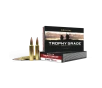 Nosler Trophy Grade 30 Nosler Ammo 210gr Accubond 20 Rounds