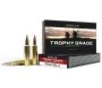 Nosler 60118 Trophy Grade Long-Range 30 Nosler 210 gr Nosler Spitzer AccuBond Long Range 20 Per Box  10 Cs