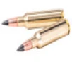 Winchester Deer Season XP 450 Bushmaster  250gr  Extreme Point  20rd Box