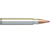 HORNADY 375 Ruger 250Gr CX OTF