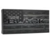Hornady Black Handgun Ammunition 4 6x30mm 38gr V-Max 25 ct