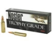 Nosler 300wsm 180gr Ab 20 200 - FAST FLAT RATE SHIPPING 