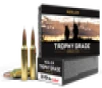Nosler Trophy Grade  Nos 60063 Trophy 300wsm 180 Ab 20 10 - FAST FLAT RATE SHIPPING 