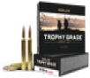 Nosler Trophy Grade  Nos 60065 Trophy 300rum 180 Ab 20 10 - FAST FLAT RATE SHIPPING 