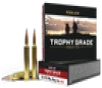 Nosler Trophy Grade  Nos 60133 30-378 Wby 210 Ablr 20 10 - FAST FLAT RATE SHIPPING 