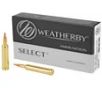 Wby Ammo 257wby 100gr Hrndy Inter - FAST FLAT RATE SHIPPING 