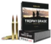 Nosler Trophy Grade  Nos 48643 Trophy 300wby 180 Ab 20 10 - FAST FLAT RATE SHIPPING 
