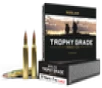 Nosler Trophy Grade  Nos 60010 Trophy 257rob p 110 Ab 20 10 - FAST FLAT RATE SHIPPING 