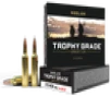Nosler Trophy Grade  Nos 60030 Trophy 270wsm 140 Ab 20 10 - FAST FLAT RATE SHIPPING 