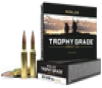 Nosler Trophy Grade  Nos 60061 Trophy 300sau 165 Pt 20 10 - FAST FLAT RATE SHIPPING 
