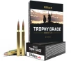 Nosler Trophy Grade  300 Winchester Magnum 180 Grain AccuBond Brass Cased Centerfire Rifle Ammo 20 Rounds 60059