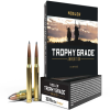 Nosler Trophy Grade  308 Winchester 165 Grain Partition Brass Cased Centerfire Rifle Ammo 20 Rounds 60053