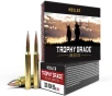 Nosler Trophy Grade  300 Winchester Short Magnum 190 Grain AccuBond Long Range Brass Cased Centerfire Rifle Ammo 20 Rounds 60106